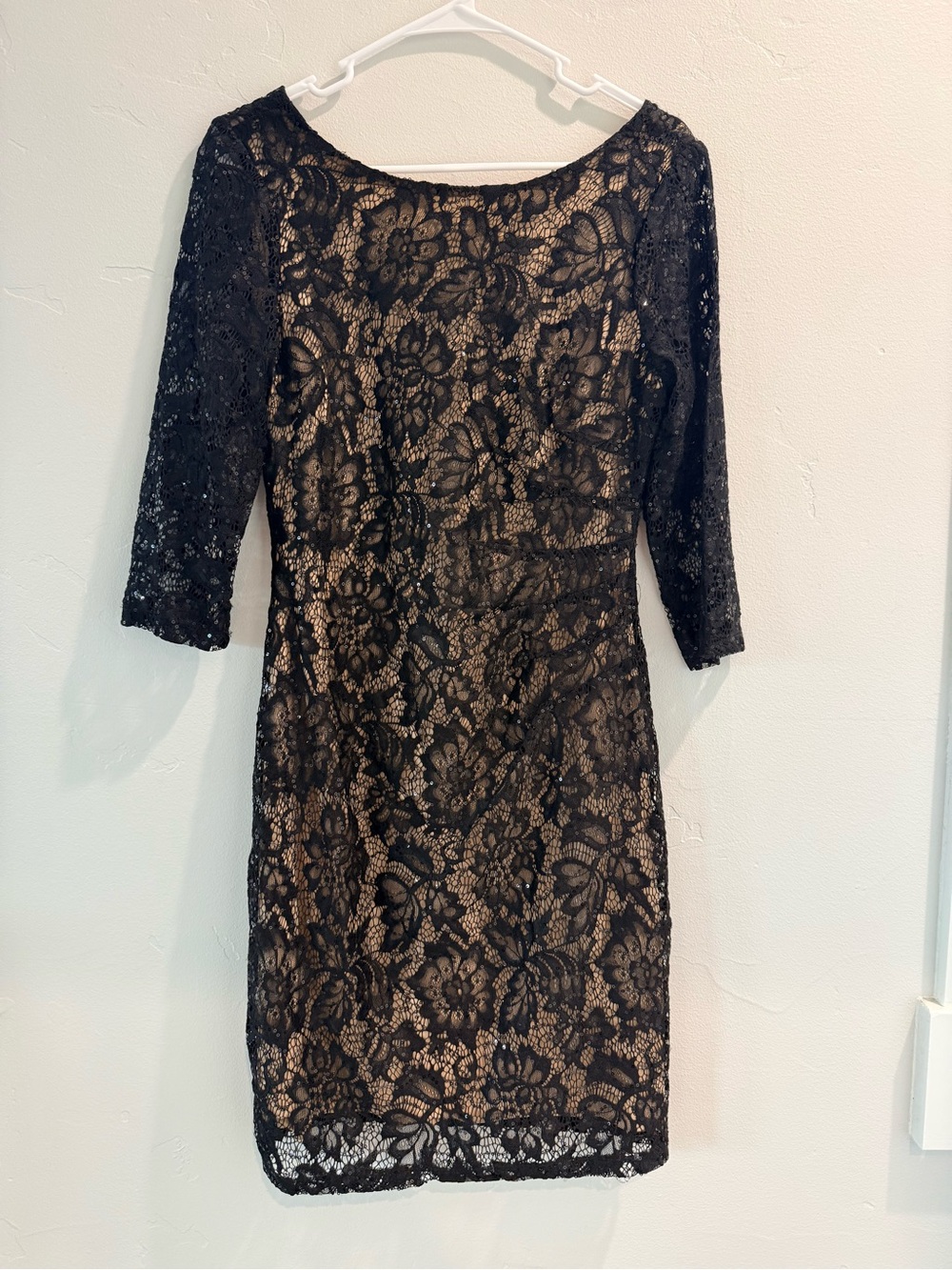 Scarlett Black Lace Overlay Dress with Nude Lining